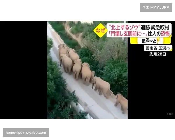 古尔丁周日复出迎战太攀蛇 伊利伤情未愈继续缺阵引关注 古尔丁周日复出迎战太攀蛇 伊利伤情未愈继续缺阵引关注